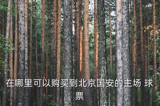 買(mǎi)球票哪個(gè)網(wǎng)站好,北京國(guó)安足球隊(duì)主場(chǎng)門(mén)票購(gòu)買(mǎi)方式有兩種