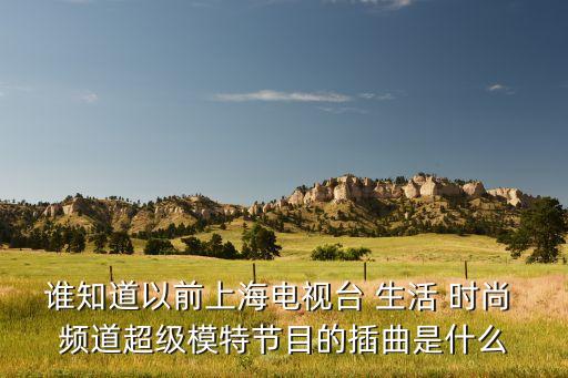 誰知道以前上海電視臺 生活 時尚 頻道超級模特節(jié)目的插曲是什么