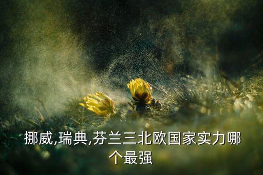  挪威,瑞典,芬蘭三北歐國家實力哪個最強