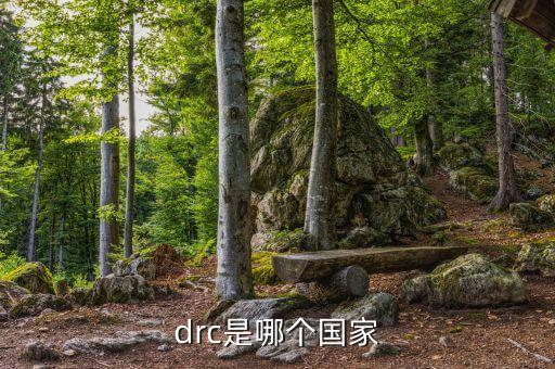 剛果金在哪個半球,中非國家剛果王國建于13世紀(jì)末