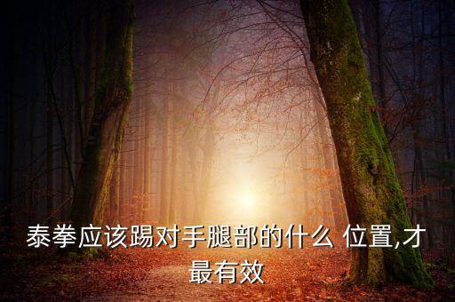 泰拳應該踢對手腿部的什么 位置,才最有效
