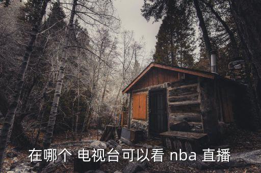 在哪個(gè) 電視臺(tái)可以看 nba 直播