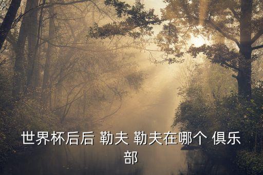 世界杯后后 勒夫 勒夫在哪個 俱樂部