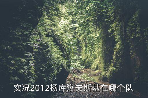 實(shí)況2012揚(yáng)庫洛夫斯基在哪個(gè)隊(duì)