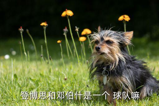  登博思和鄧伯什是一個 球隊嘛