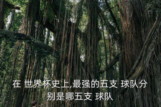 在 世界杯史上,最強(qiáng)的五支 球隊分別是哪五支 球隊