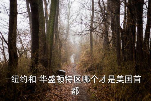 紐約和華盛頓哪個大,美國首都是華盛頓不是紐約