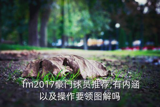  fm2017豪門球員推薦;有內(nèi)涵以及操作要領(lǐng)圖解嗎