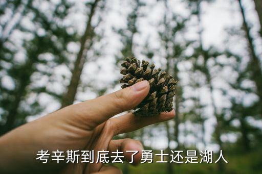 賈里爾考辛斯在哪個(gè)隊(duì),考辛斯去了湖人而非勇士