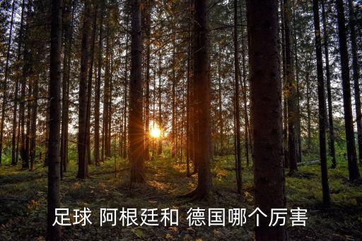 足球 阿根廷和 德國哪個(gè)厲害