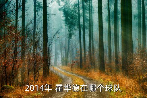 2k15霍華德在哪個(gè)隊(duì),灰熊與霍華德完成合同買(mǎi)斷