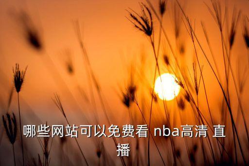 哪些網(wǎng)站可以免費(fèi)看 nba高清 直播