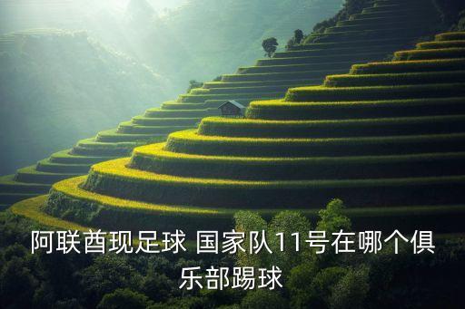 阿聯(lián)酋現(xiàn)足球 國家隊(duì)11號(hào)在哪個(gè)俱樂部踢球