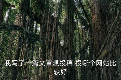 我寫了一篇文章想投稿,投哪個網(wǎng)站比較好