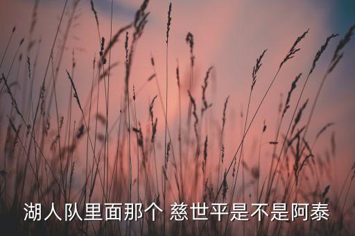 湖人隊(duì)里面那個(gè) 慈世平是不是阿泰