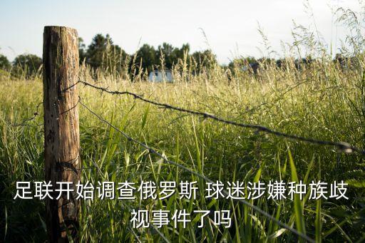 猴子是哪個(gè)隊(duì)球迷,孫悅年薪700萬外號孫猴打來電話