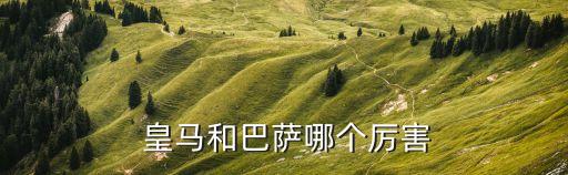 巴塞羅那vs皇馬 哪個(gè),巴塞羅那奪得五個(gè)歐洲冠軍聯(lián)賽獎(jiǎng)杯