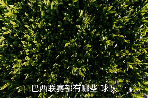 阿瓦伊是哪個(gè)球隊(duì),巴西球星關(guān)明生轉(zhuǎn)會(huì)尤文圖斯