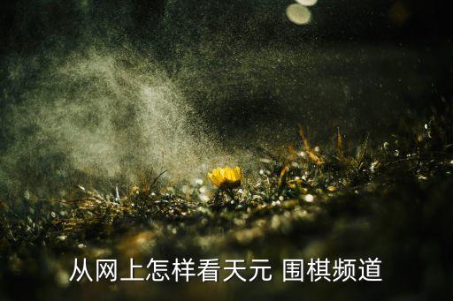 現(xiàn)在哪個電視臺還有圍棋節(jié)目,免費電視節(jié)目有哪些?
