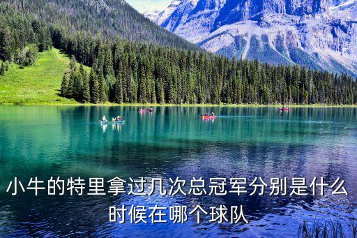 小牛的特里拿過幾次總冠軍分別是什么時候在哪個球隊