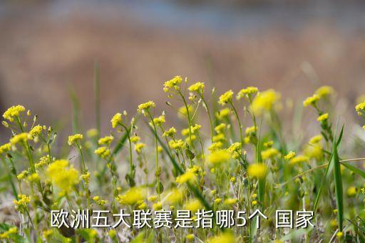 歐洲五大聯(lián)賽是指哪5個(gè) 國(guó)家