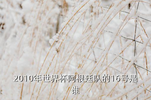 2010年世界杯阿根廷隊的16號是誰