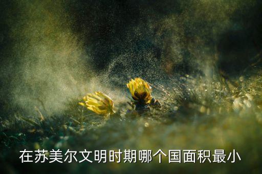 在蘇美爾文明時期哪個國面積最小