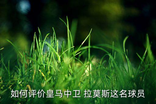 如何評(píng)價(jià)皇馬中衛(wèi) 拉莫斯這名球員
