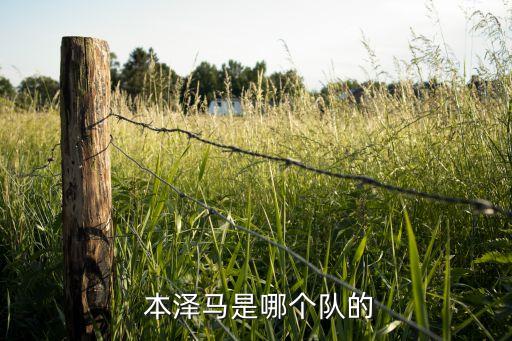  本澤馬是哪個隊的