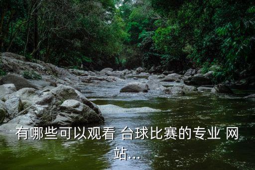 有哪些可以觀看 臺(tái)球比賽的專(zhuān)業(yè) 網(wǎng)站...