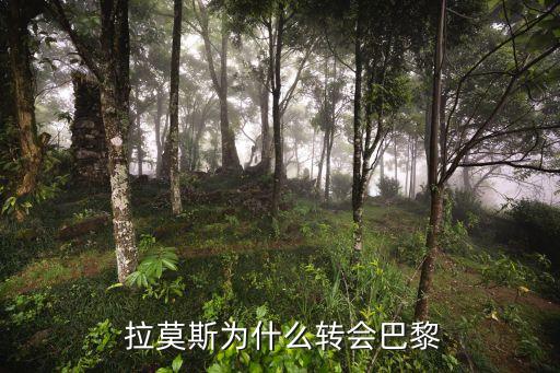  拉莫斯為什么轉(zhuǎn)會(huì)巴黎