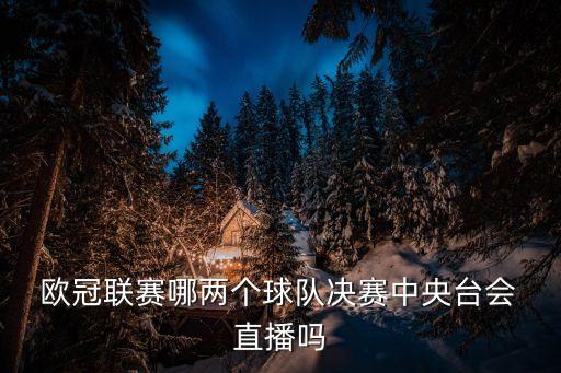 歐冠聯(lián)賽哪兩個(gè)球隊(duì)決賽中央臺(tái)會(huì) 直播嗎