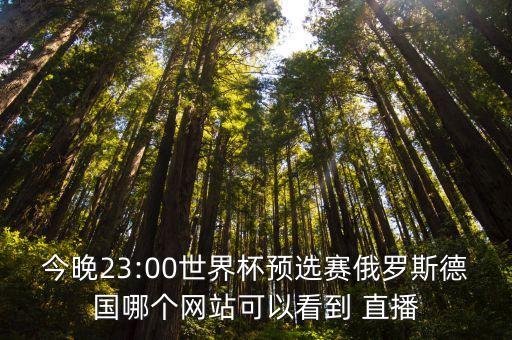 今晚23:00世界杯預選賽俄羅斯德國哪個網(wǎng)站可以看到 直播