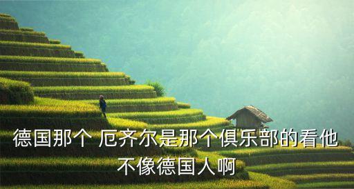 厄齊爾哪個國家隊,厄齊爾曾是歐洲杯最佳球隊成員