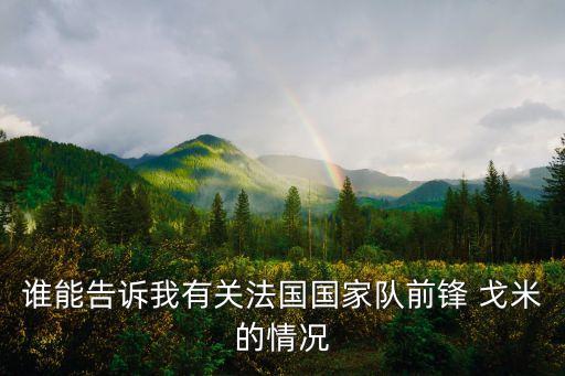 誰能告訴我有關(guān)法國國家隊前鋒 戈米的情況