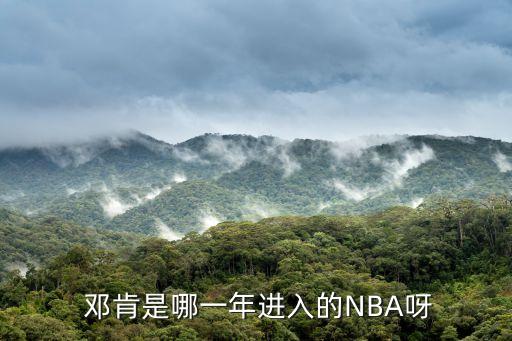  鄧肯是哪一年進入的NBA呀