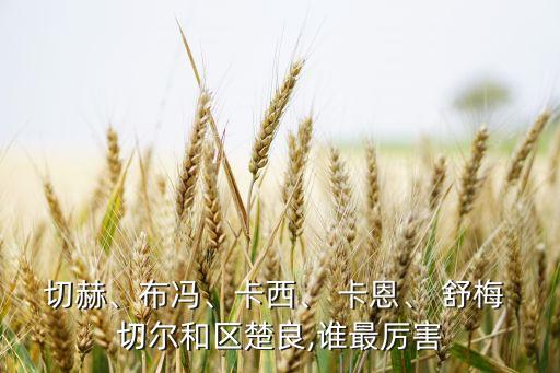 切赫、布馮、卡西、 卡恩、 舒梅 切爾和區(qū)楚良,誰最厲害