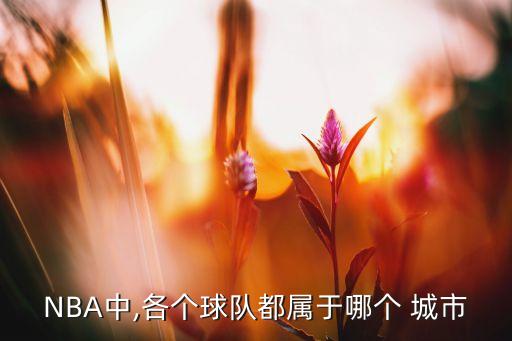 NBA中,各個球隊都屬于哪個 城市