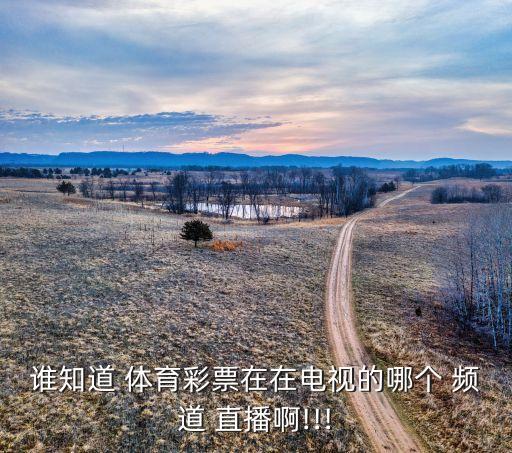 體育直播是哪個(gè)頻道直播,體育彩票大樂(lè)透有以下發(fā)行渠道