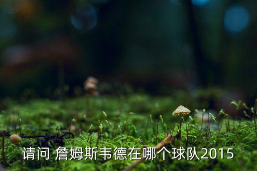 勒布朗詹姆斯在哪個(gè)隊(duì),nba小皇帝勒布朗詹姆斯誕生