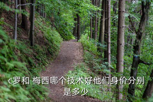 c羅和 梅西哪個技術好他們身價分別是多少