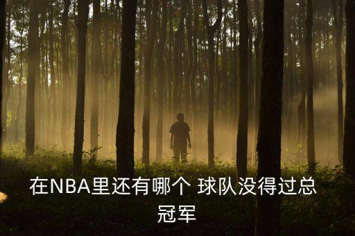 nba哪個(gè)球隊(duì)沒拿過總冠軍,我國籃球隊(duì)四支球隊(duì)包辦總決賽