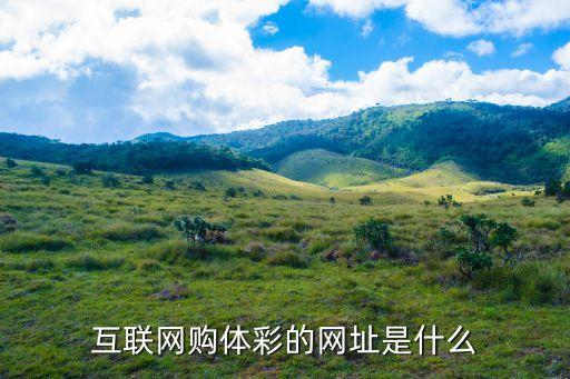哪個網站可以在線購買彩票,如何購買彩票?