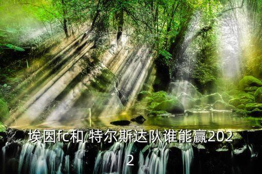 埃因fc和 特爾斯達隊誰能贏2022