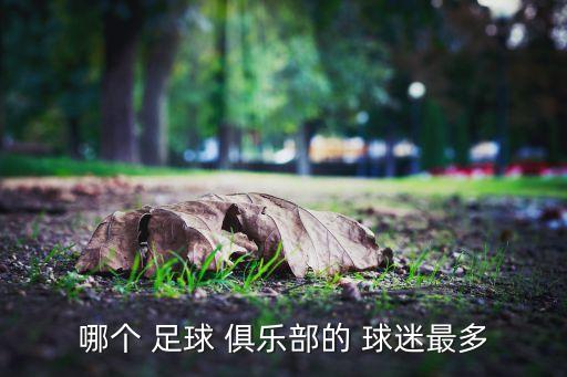 哪個 足球 俱樂部的 球迷最多
