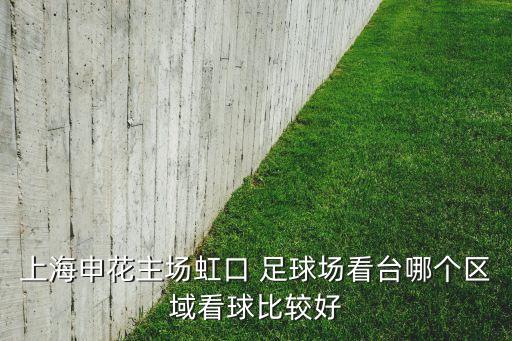 上海申花主場(chǎng)虹口 足球場(chǎng)看臺(tái)哪個(gè)區(qū)域看球比較好