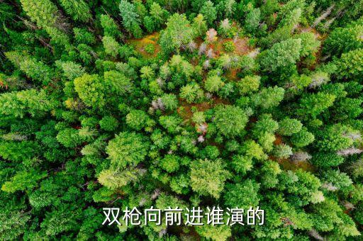  雙槍向前進誰演的
