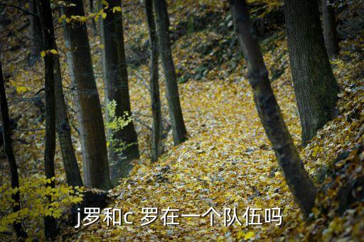 FIFA14有j羅在哪個隊,數(shù)據(jù)庫應建立的表結(jié)構(gòu)如何顯示?