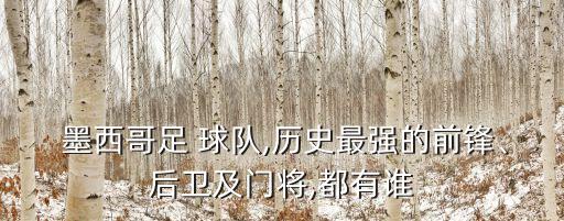  墨西哥足 球隊,歷史最強的前鋒、后衛(wèi)及門將,都有誰