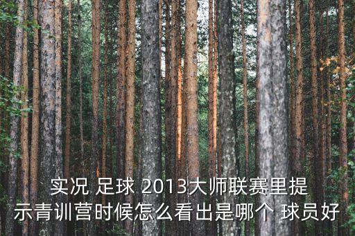  實況 足球 2013大師聯(lián)賽里提示青訓營時候怎么看出是哪個 球員好